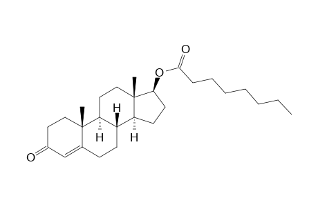 Testosterone octanoate