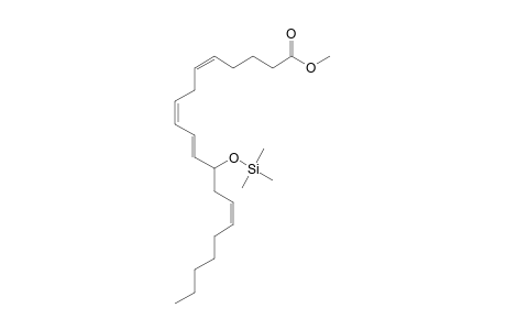 12-HETE TMS-Me derivative