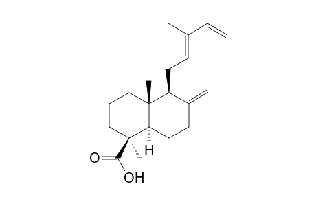 (E)-COMMUNIC-ACID