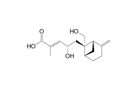 MASSARINOLIN-C