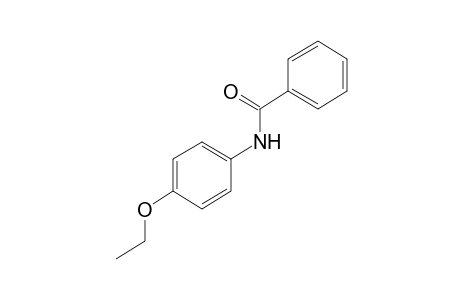 p-benzophenetidide