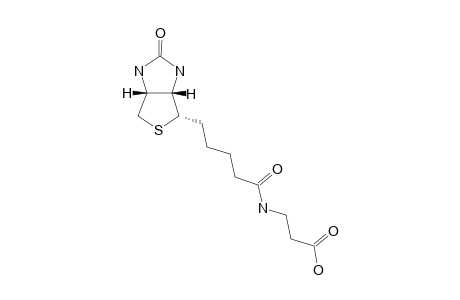 BIOT-3-(2);3-[5-(2-OXO-HEXAHYDROTHIENO-[3,4-D]-IMIDAZOL-6-YL)-PENTANOYLAMINO]-PROPIONIC-ACID