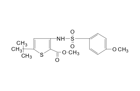 5-tert-butyl-3-(p-methoxybenzenesulfonamido)-2-thiophenecarboxylic acid, methyl ester