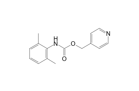 2,6-dimethylcarbanilic acid, (4-pyridyl)methyl ester