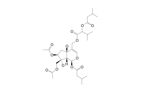 JATAMANVALTRATE-C