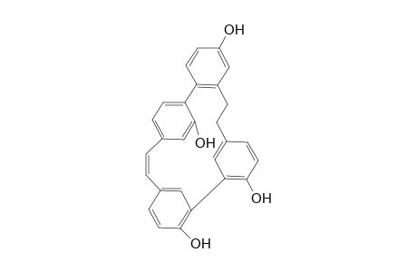 Isoplagiochin C