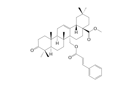 27-O-TRANS-CINNAMOYLMYRICERONE-METHYLESTER