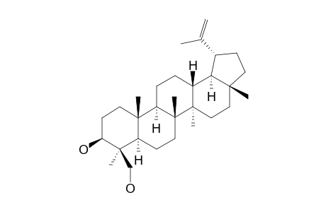 3-BETA,24-DIHYDROXY-LUP-20(29)-ENE