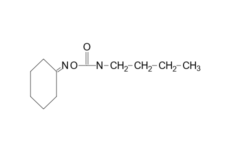 cyclohexanone, O-(butylcarbamoyl)oxime