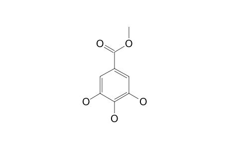 Methyl 3,4,5-trihydroxybenzoate