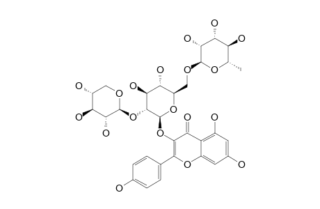 CAMELLIASIDE-B;KAEMPFEROL-3-O-(2-O-BETA-D-XYLOPYRANOSYL-6-O-ALPHA-L-RHAMNOPYRANOSYL)-BETA-D-GLUCOPYRANOSIDE