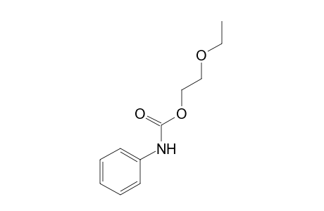 carbanilic acid, 2-ethoxyethyl ester