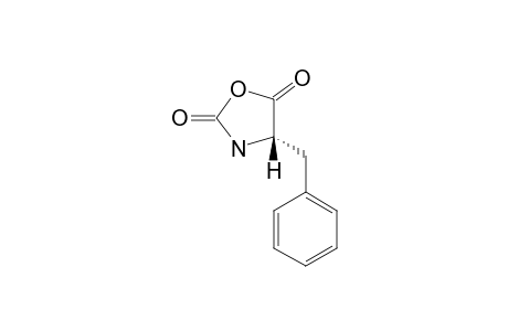 L-PHENYLALANYL-N-CARBOXANHYDRIDE