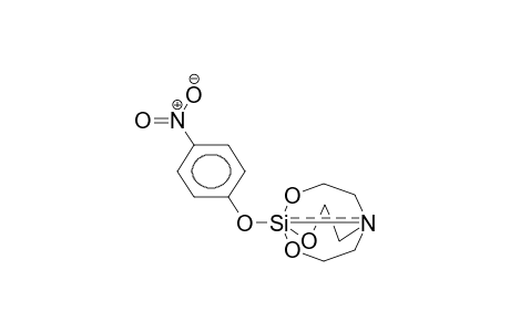 1-(4-NITROPHENOXY)SILATHRANE