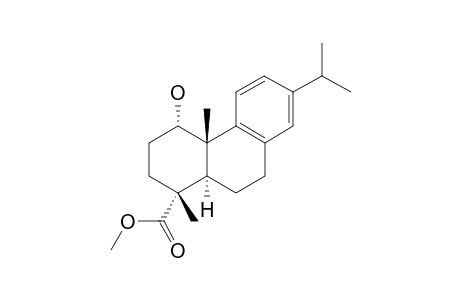 TEIDIC-ACID-METHYLESTER