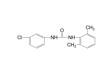 3'-chloro-2,6-dimethylcarbanilide