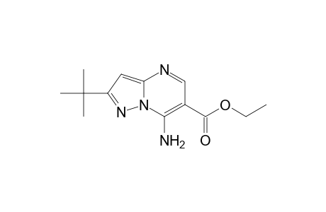 Pyrazolo[1,5-a]pyrimidine-6-carboxylic acid, 7-amino-2-(1,1-dimethylethyl)-, ethyl ester