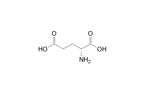 D-glutamic acid