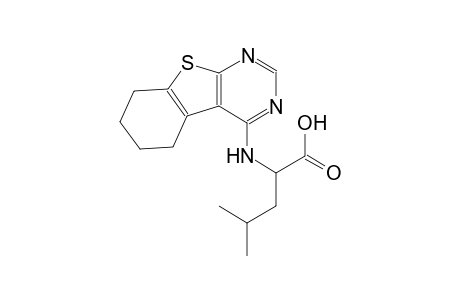 (2S)-4-methyl-2-(5,6,7,8-tetrahydro[1]benzothieno[2,3-d]pyrimidin-4-ylamino)pentanoic acid