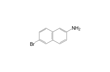 6-bromo-2-naphthylamine