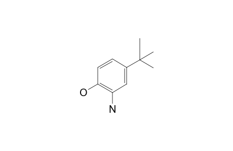 2-Amino-4-tert-butylphenol