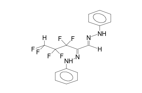 GAMMA-HYDROPERFLUOROPROPYLGLYOXAL, BIS(PHENYLHYDRAZONE)