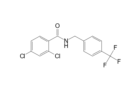 2,4-dichloro-N-[p-(trifluoromethyl)benzyl]benzamide