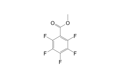 PENTAFLUOROBENZOIC_ACID-METHYLESTER