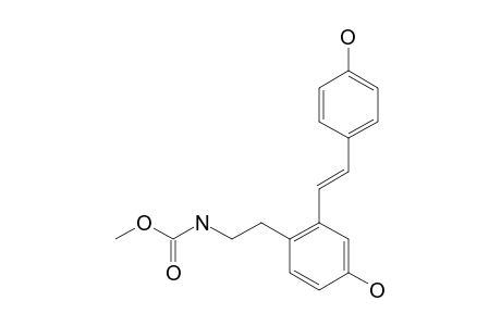 GUSANLUNG-C