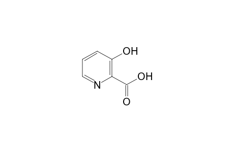 3-Hydroxypyridine-2-carboxylic acid