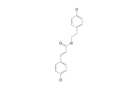 PAPRAZINE