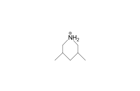 cis-3,5-Dimethyl-piperidinium cation