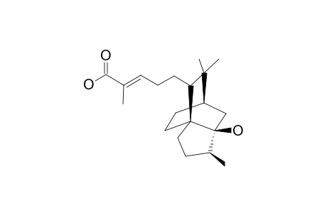 YXOPIDIAJAHOCT-PJKLKPSWSA-N