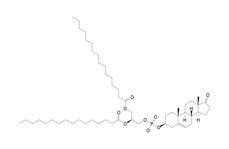 3-BETA-[(L-1,2-DI-O-PALMITOYL-GLYCERO)-PHOSPHORYL]-ANDROST-5-EN-17-ONE