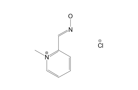 Pralidoxime chloride