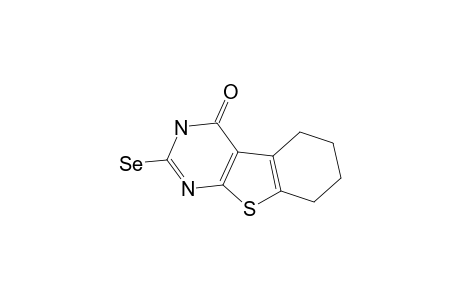 2-SELANYL-1,2,5,6,7,8-HEXAHYDRO-BENZO-[1]-THIENO-[2,3-D]-PYRIMIDINE-4-ONE