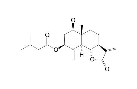 ARGYINOLIDE-J;(+)-(1R,3S,5S,6S,7S,10R)-1-HYDROXY-3-ISOVALEROYLOXY-EUDESMAN-4(15),11(13)-DIEN-6,12-OLIDE