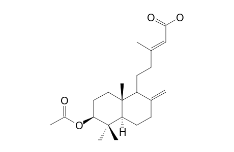 LABDAN-DITERPEN-(7)