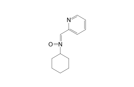 2-([Cyclohexyl(oxido)imino]methyl)pyridine