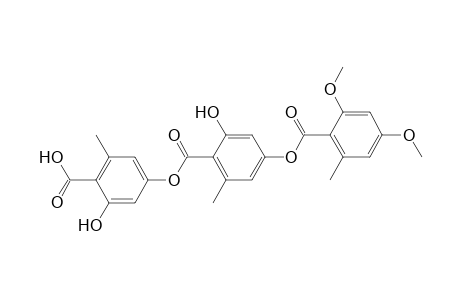 AMIDEPSIN-D;2,4-DI-O-METHYLGRYPHORIC-ACID