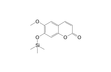 Scopoletin TMS