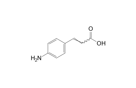 p-aminocinnamic acid