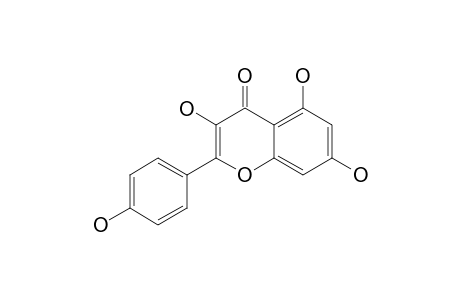 Kaempferol