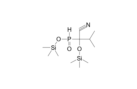 TRIMETHYLSILYL-ALPHA-TRIMETHYLSILYLOXY-ALPHA-CYANOISOBUTYLPHOSPHONITE