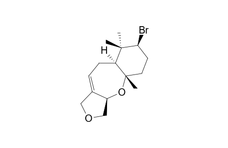 PALISADIN A