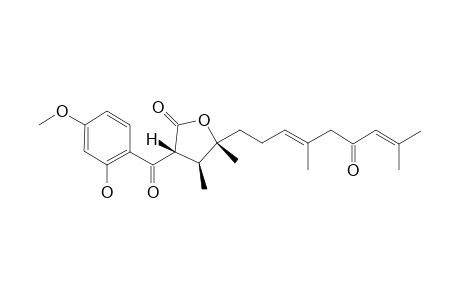 KOPETDAGHIN_C;3-S*-(2-HYDROXY-4-METHOXYBENZOYL)-4-R*,5-S*-DIMETHYL-5-[3-(E),7-(E)-NONADIEN-11-ONE-6-YL]-DIHYDROFURAN-2-(3-H)-ONE