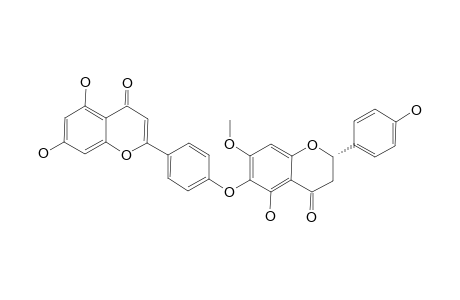 2'',3''-DIHYDRO-ISOCRYPTOMERIN