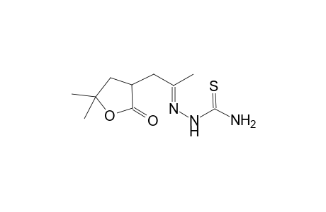 3-((2E)-2-[(Aminocarbothioyl)hydrazono]propyl)-5,5-dimethyldihydro-2(3H)-furanone