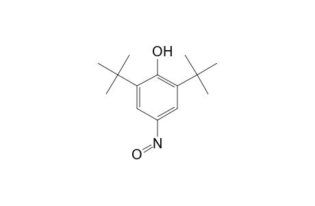 2,6-DI-tert-BUTYL-4-NITROSOPHENOL