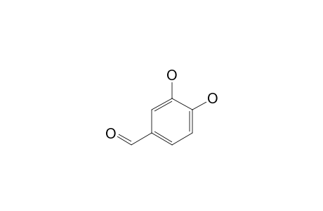 Protocatechualdehyde